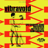 Vibravoid's Limited Edition Vinyl Sleeve