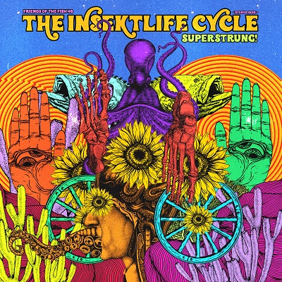 The Insektlife Cycle