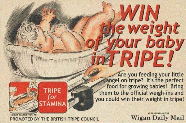 tripe